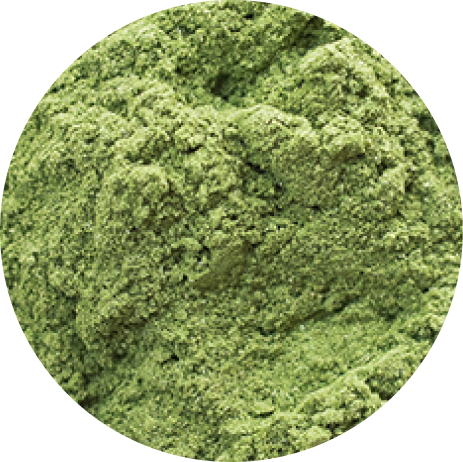 Wheatgrass powder